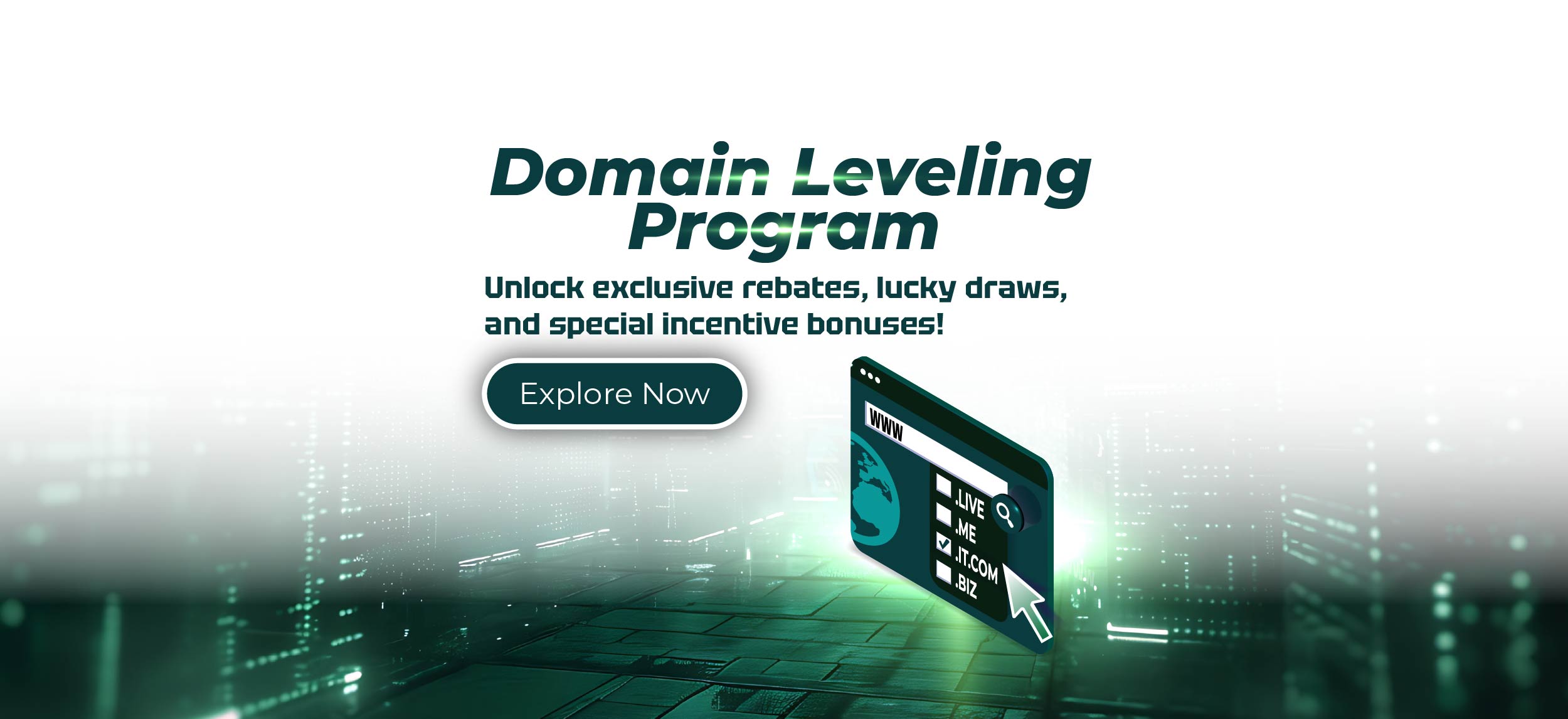 Domain Leveling Program 1