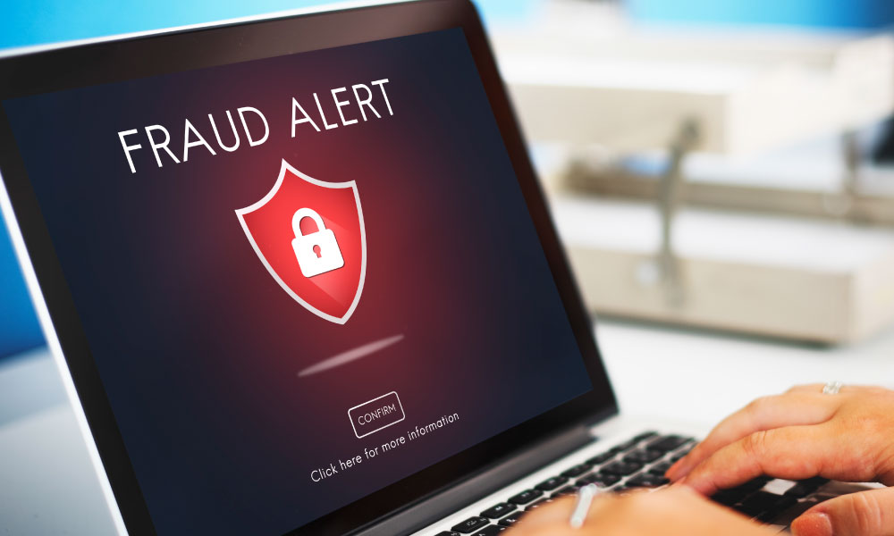 Business-risks-domain-fraud